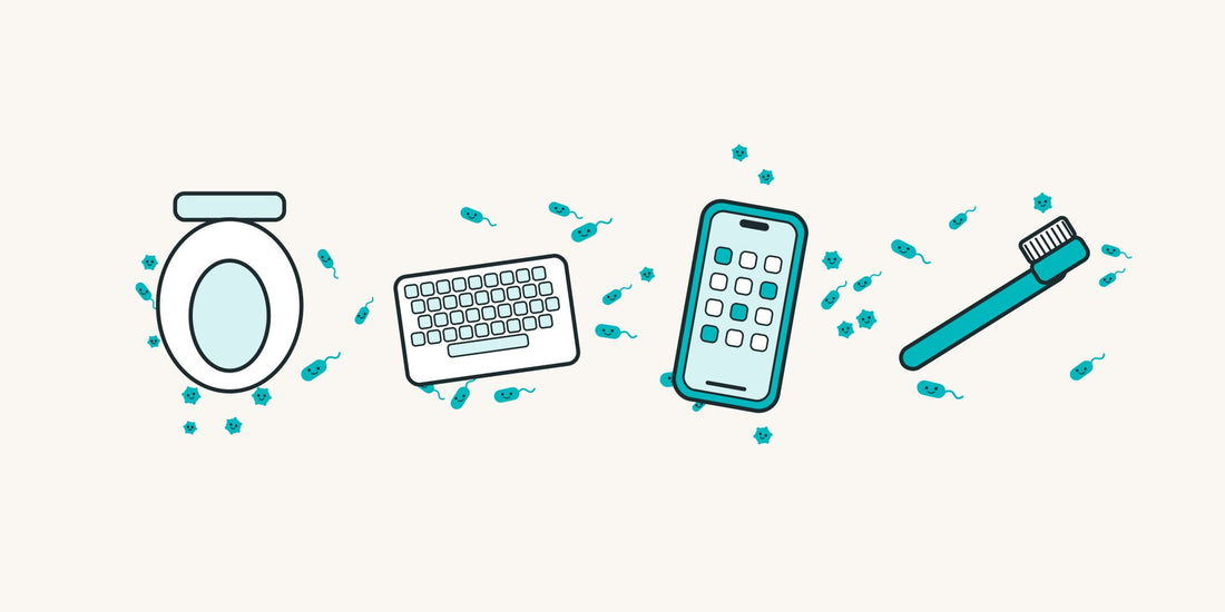 How Dirty Is the Stuff You Touch Every Day? (Your Toothbrush Might Surprise You)